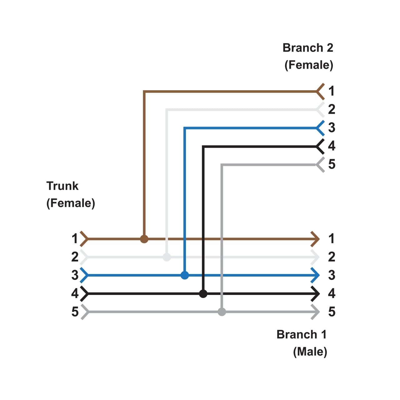Banner CSB-M1250M1250 M12 QD Splitter Connector; 5-pin Female Trunk Straight; 5-pin Female Straight Branch (1); 5-pin Male Straight Branch(1); Black PUR Splitter Junction Cable CSB-M1250M1250 on Powermatic Associates