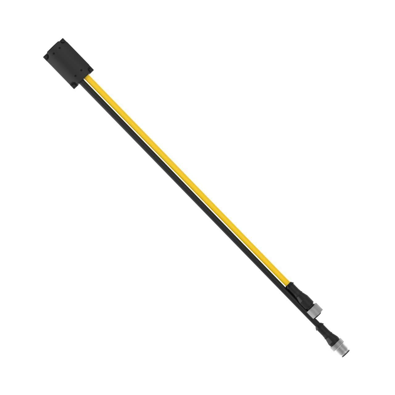 Banner DES4-M81-F51-D Banner DES4-M81-F51-D - S4B CASCADE Custom to M12 Double-Ended; 8-pin M12 Male Branch 400 mm, Black PVC Jacket (1); 5-pin M12 Female Branch 350 mm, Yellow PVC Jacket (1); Nickel-Plated Brass Coupling Nut DES4-M81-F51-D on Powermatic Associates