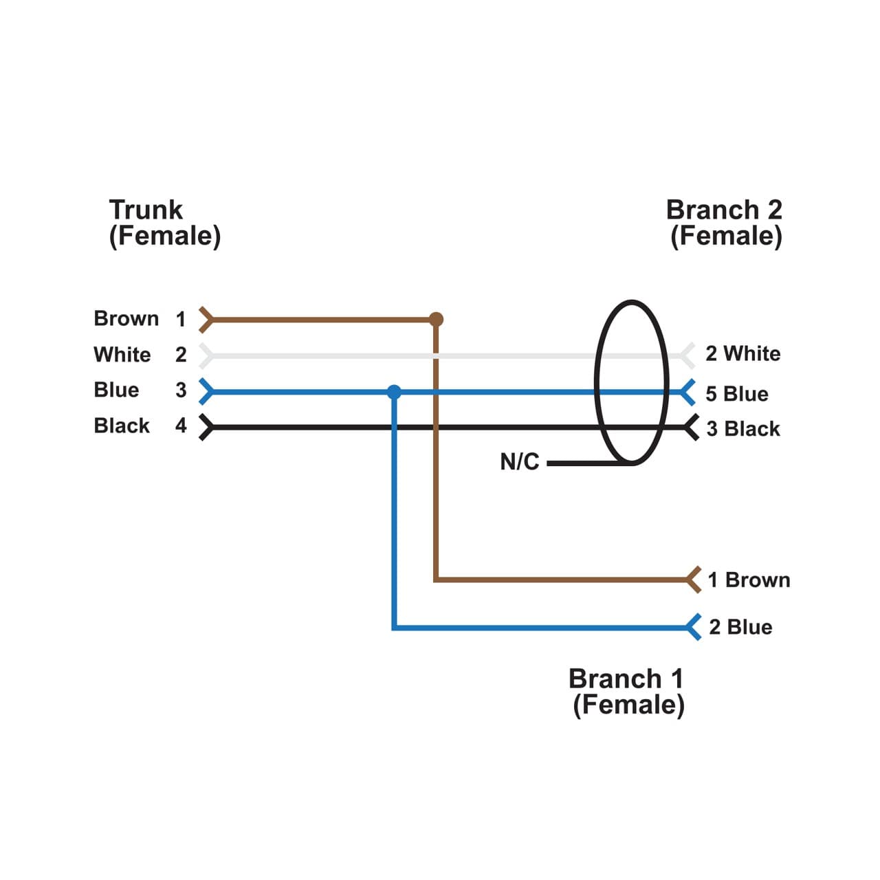Banner CSB-M1241DB9 M12 QD Splitter Cable; 4-pin Straight female M12 0.3 m (1 ft) Trunk; 9-pin D-SUB Straight Female M12 2 m (6.56 ft) Branch 1; 2-pin Cable 2 m (6.56 ft) Branch 2; Black Jacket; Nickel-Plated Brass Coupling Nuts CSB-M1241DB9 on Powermatic Associates