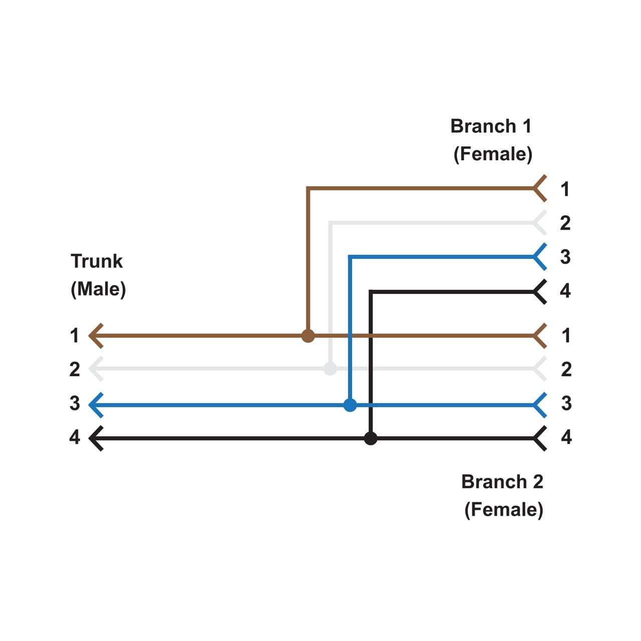 Banner CSB-M1241M1241 Splitter Cable; 4-pin M12 Male Trunk 0.3 m (1 ft); Two 4-pin M12 0.3 m (1 ft) Female Branches; Black CSB-M1241M1241 on Powermatic Associates