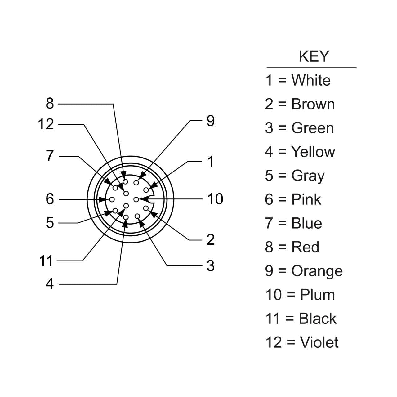 Banner BR-M12F12R9-0.5 Banner BR-M12F12R9-0.5 - Receptacle 12-pin Female; 12x24 PVC 0.5 m Length; Rear Mount PG9 w/ Locknut BR-M12F12R9-0.5 on Powermatic Associates