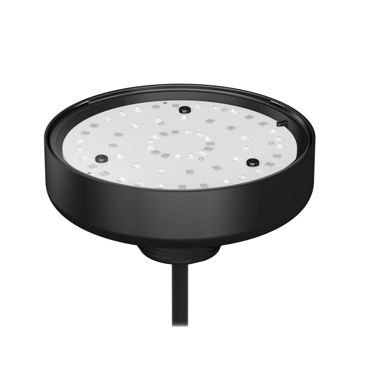 Banner K90FDLBN K90F Series EZ-LIGHT; 1-Color Daylight Visible Indicator, Voltage: 12-30 V dc; Environmental Rating: IP67, Input: NPN; Colors: Blue, 2 m (6.5 ft) Cable K90FDLBN on Powermatic Associates