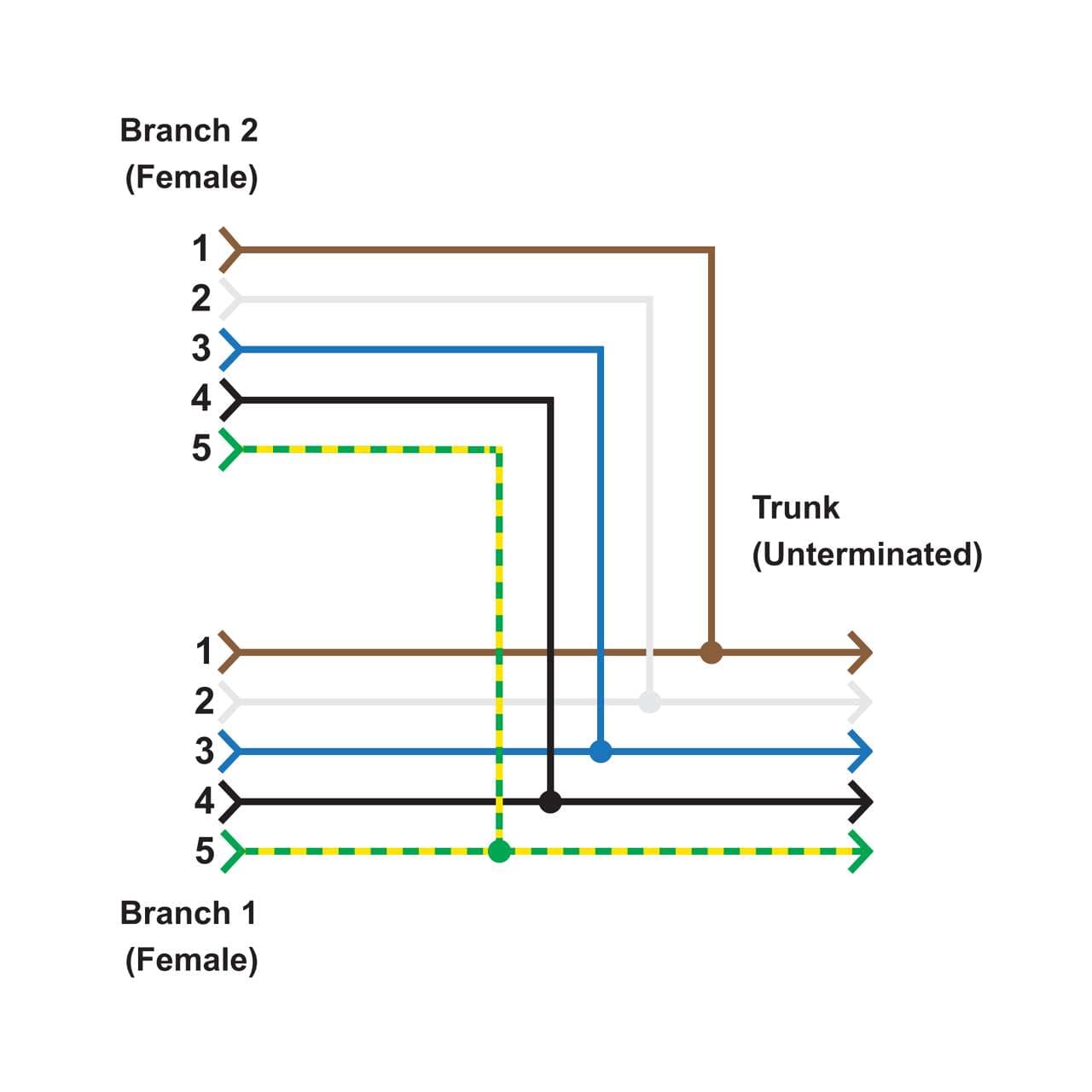 Banner CSB-UNT525M1251 M12 QD Splitter Cable; 5-pin; 0.3 m Female Branches Unterminated Trunk; 7.62 m (25 ft); 5x22 GA 25 ft Trunk 1 ft Branch CSB-UNT525M1251 on Powermatic Associates