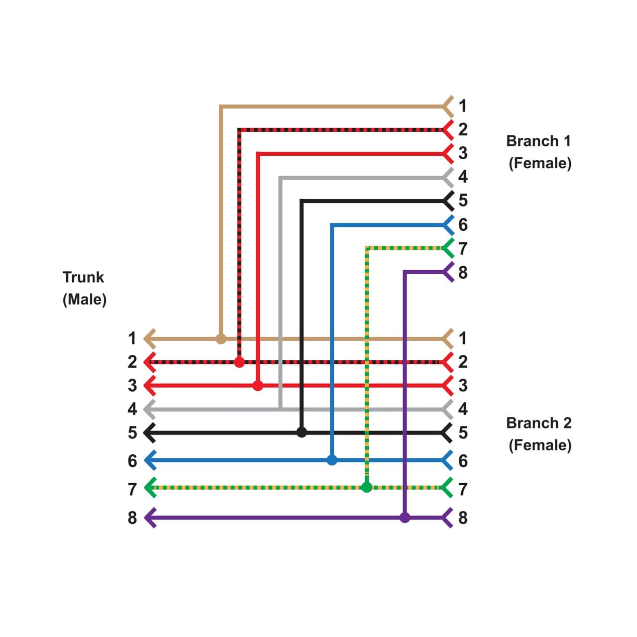 Banner CSB-M1288M1281 M12 QD Splitter Cable; 8-pin Double-ended with 0.3 Female Branches and; Male Rotatable Trunk Connector; 2.5 m Trunk Length; 8X22 GA 8 ft Trunk 1 ft Branch CSB-M1288M1281 on Powermatic Associates