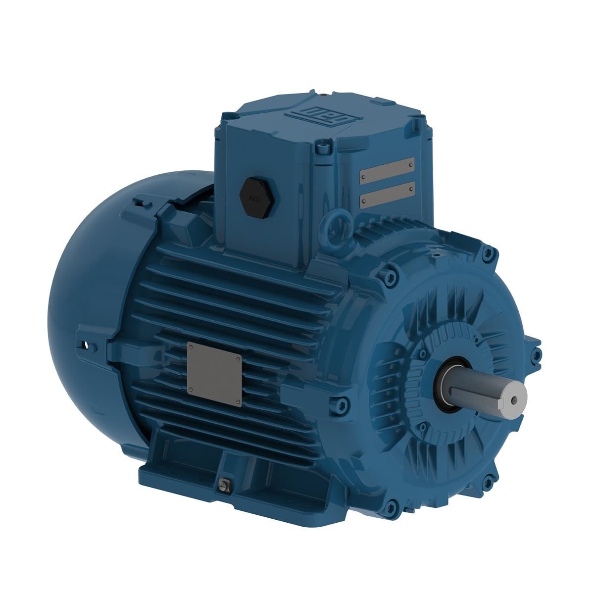 E00536XT3YAX132SF3-W on Powermatic Associates