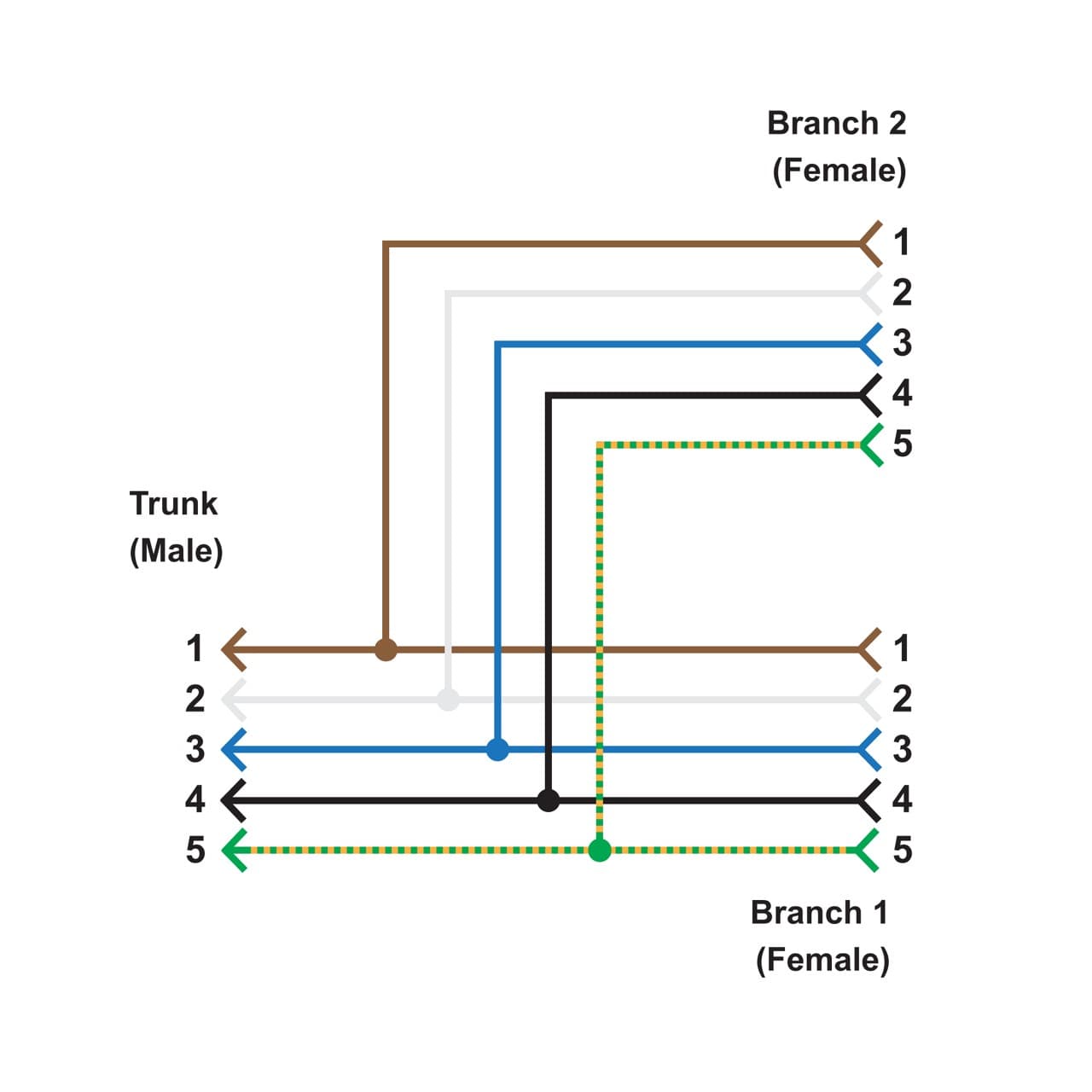 Banner CSB-M12525M1251 M12 QD Splitter Cable; 5-pin Straight male M12 7.62 m (25 ft) Trunk; 5-pin Straight Female M12 0.3 m (1 ft) Branch 1; 5-pin Straight Female M12 0.3 m (1 ft) Branch 2; Nickel-Plated Brass Coupling Nuts Yellow Jacket CSB-M12525M1251 on Powermatic Associates