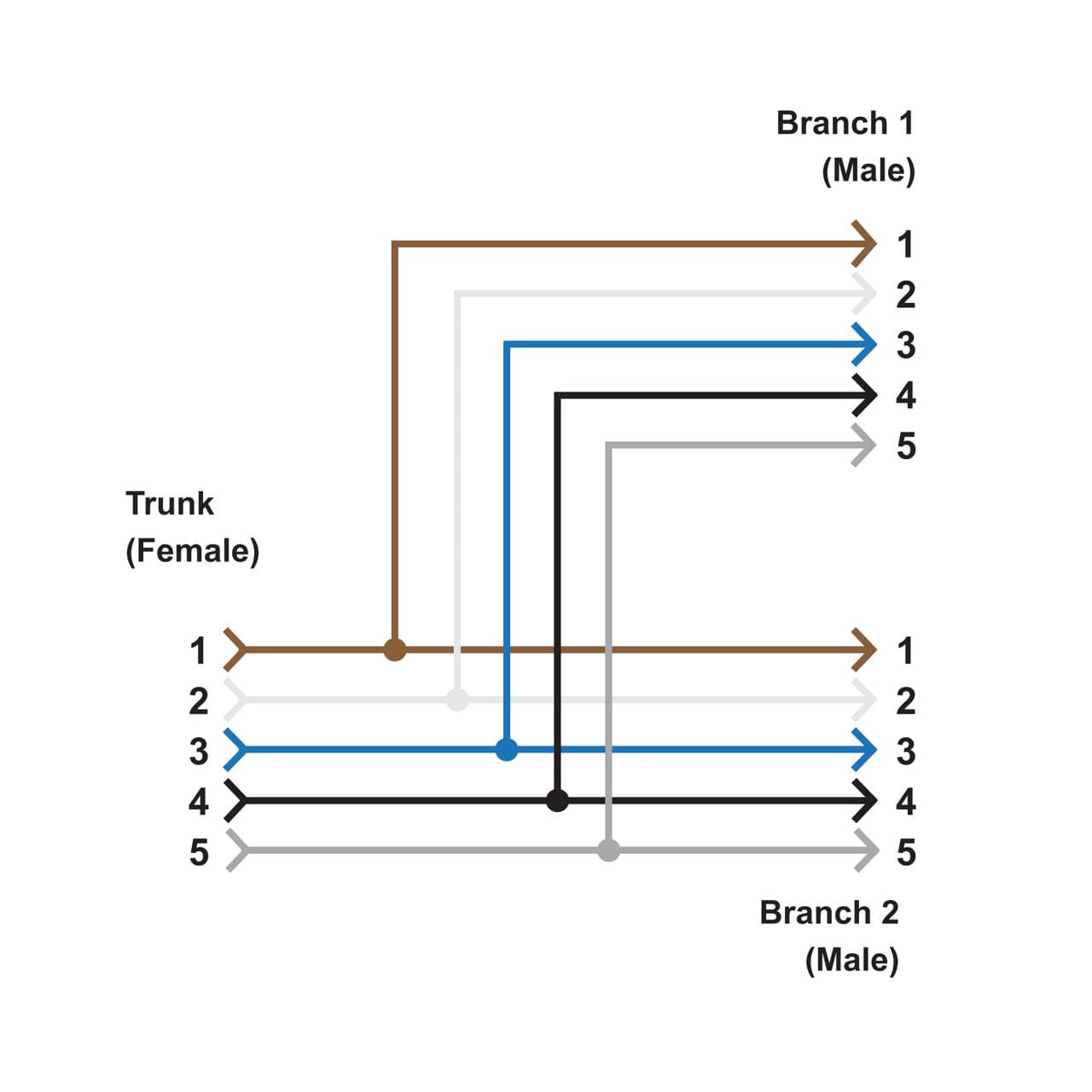 Banner CSB-M1251FM1251M Splitter M12F to M12M and M12M connectors; 5-pin, Non-Shielded, IP68, AWG 22; Black PVC Cord, Straight Connectors; Trunk: 0.3 m; Branches: 0.3 m CSB-M1251FM1251M on Powermatic Associates