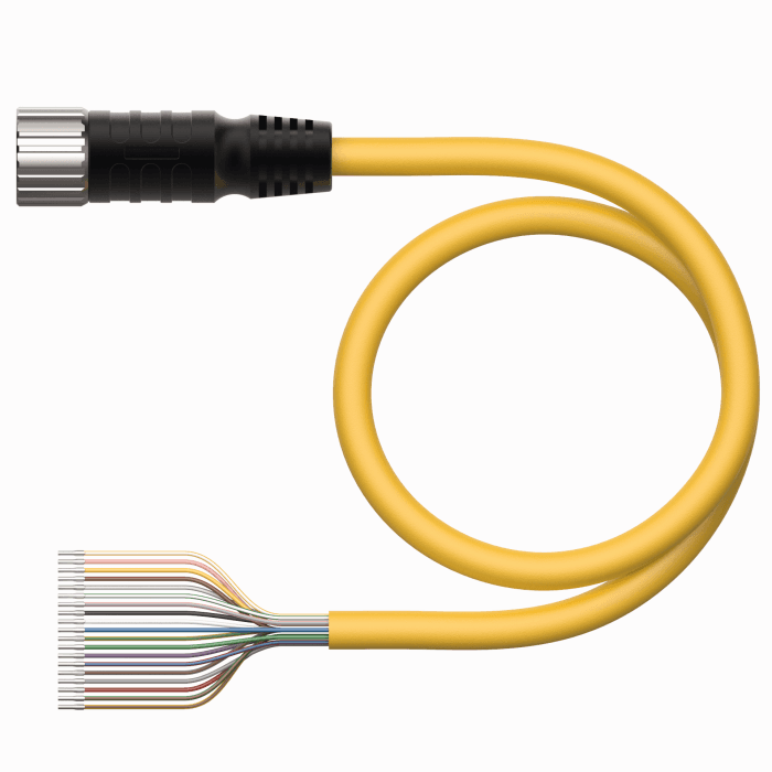 Turck CKM 19-19-9/S90 CKM 19-19-9/S90 Turck - CKM 19-19-9/S90 Actuator and sensor cable, Connection Cordset CKM 19-19-9/S90 on Powermatic Associates