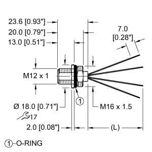 Turck FS46PS-0.2/M16 FS46PS-0.2/M16 Turck - FS46PS-0.2/M16 M12 Power Flange, Front Mount FS46PS-0.2/M16 on Powermatic Associates